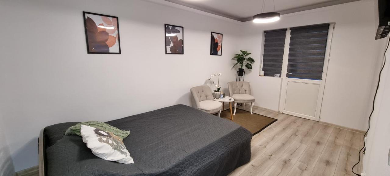 Radu'S Room Curtea de Argeş Dış mekan fotoğraf
