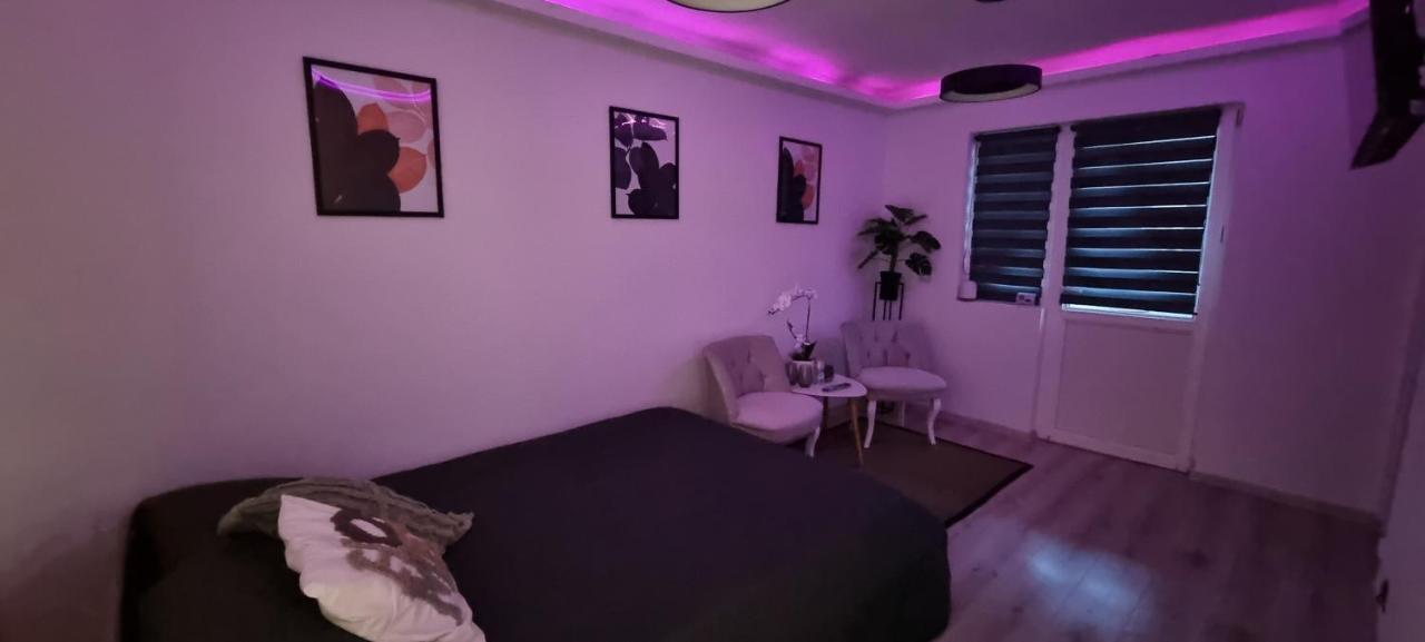 Radu'S Room Curtea de Argeş Dış mekan fotoğraf